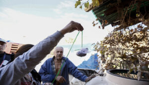 Jalisco cerró el 2025 con 205 casos nuevos de dengue - ZMG Noticias