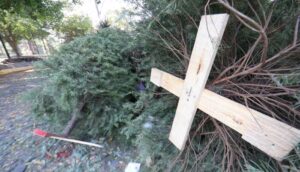 Comienza campaña de acopio de arbolitos de navidad - ZMG Noticias