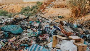 Multarán a tapatíos cochinos