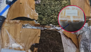 Decomisan 55 kilos de marihuana en Tlaquepaque; FGR inicia investigación