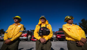 Casi dos mil brigadistas combatirán incendios forestales - ZMG Noticias