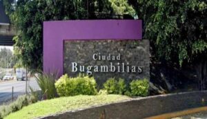 Se registra cuantioso robo en Bugambilias - ZMG Noticias