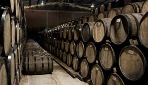 Tequila diversifica mercados de cara a posibles aranceles de Trump - ZMG Noticias