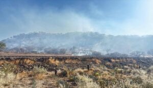 Reportan controlados dos incendios de tres - ZMG Noticias
