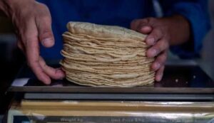Precio de tortillas la prioridad de Sheinbaum - ZMG Noticias