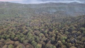 Restringen acceso al Área Natural Sierra de Quila por trabajos de enfriamiento tras incendio