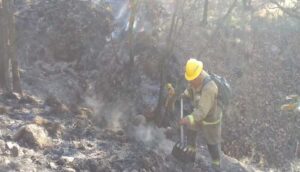 Desactivan Emergencia Atmosférica en Tlajomulco y El Salto - ZMG Noticias