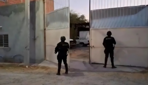 Descubren lote con vehículos robados en Teocaltiche