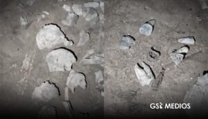 Colectivo localiza restos humanos y autoridades las ignoran - ZMG Noticias