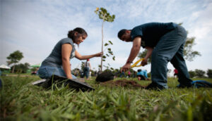 Plantarán 100 mil árboles en Zapopan - ZMG Noticias