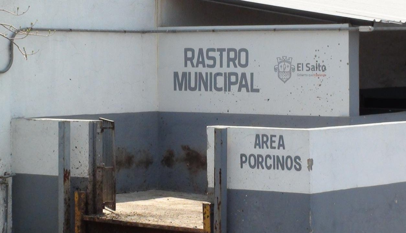 Clausura PROEPA tres establecimientos por violaciones ambientales en Jalisco - ZMG Noticias Clausura PROEPA tres establecimientos por violaciones ambientales en Jalisco