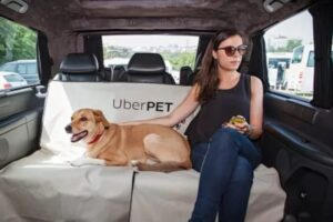 Ya habrá Uber para perritos tapatíos - ZMG Noticias