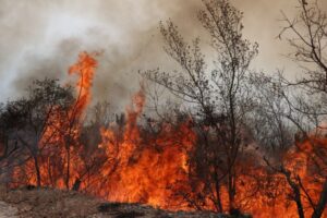 Jalisco tiene 18 incendios forestales activos - ZMG Noticias