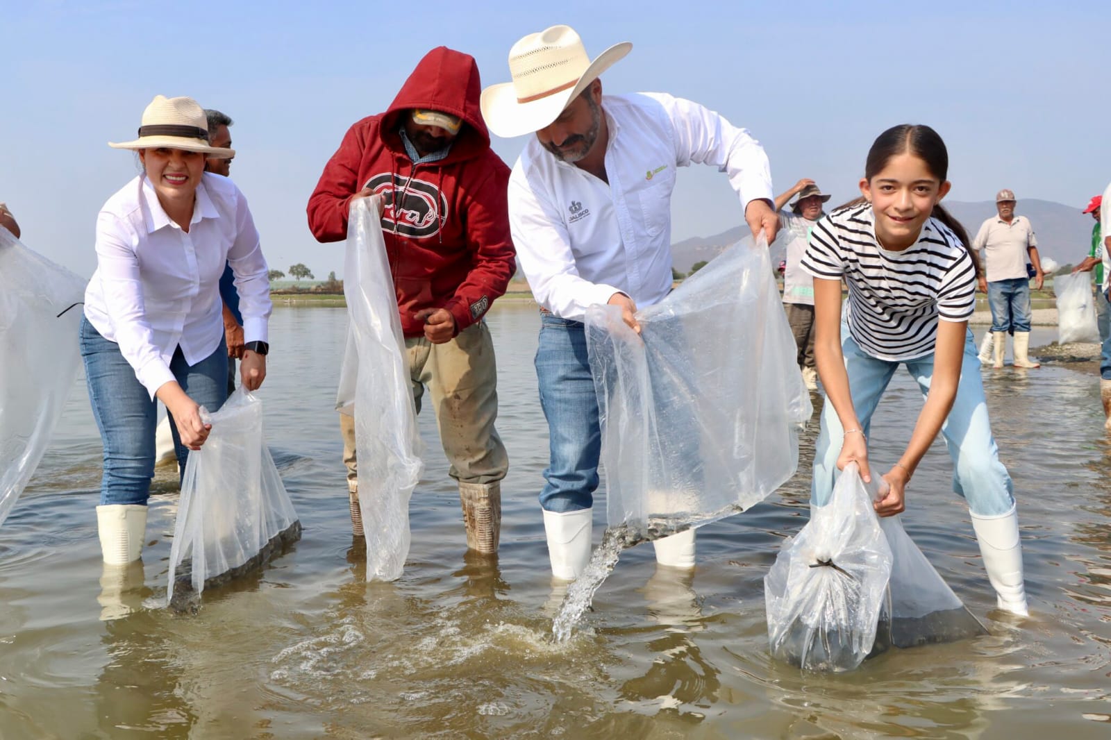 Siembran tilapia en la Presa de la Vega - ZMG Noticias