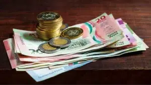 24% de las empresas no entregarán utilidades - ZMG Noticias