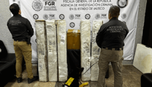 Aseguran narcótico en empresa de paquetería en El Salto, Jalisco
