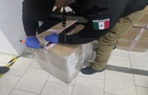 Aseguran más de 71 kilos de marihuana en empresa de paquetería - ZMG Noticias