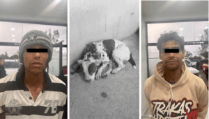 Detienen a dos hombres por agredir con arma blanca a un perrito en El Salto