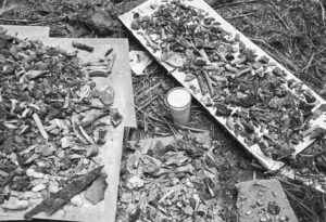 Localizan crematorio clandestino en Tlajomulco - ZMG Noticias