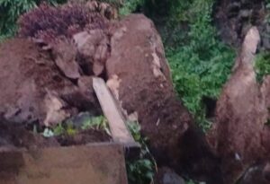 Colapsa paredón en Loma Linda - ZMG Noticias