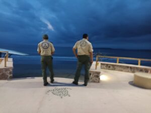 Sin afectaciones tras Alerta de Tsunami en costas mexicanas - ZMG Noticias