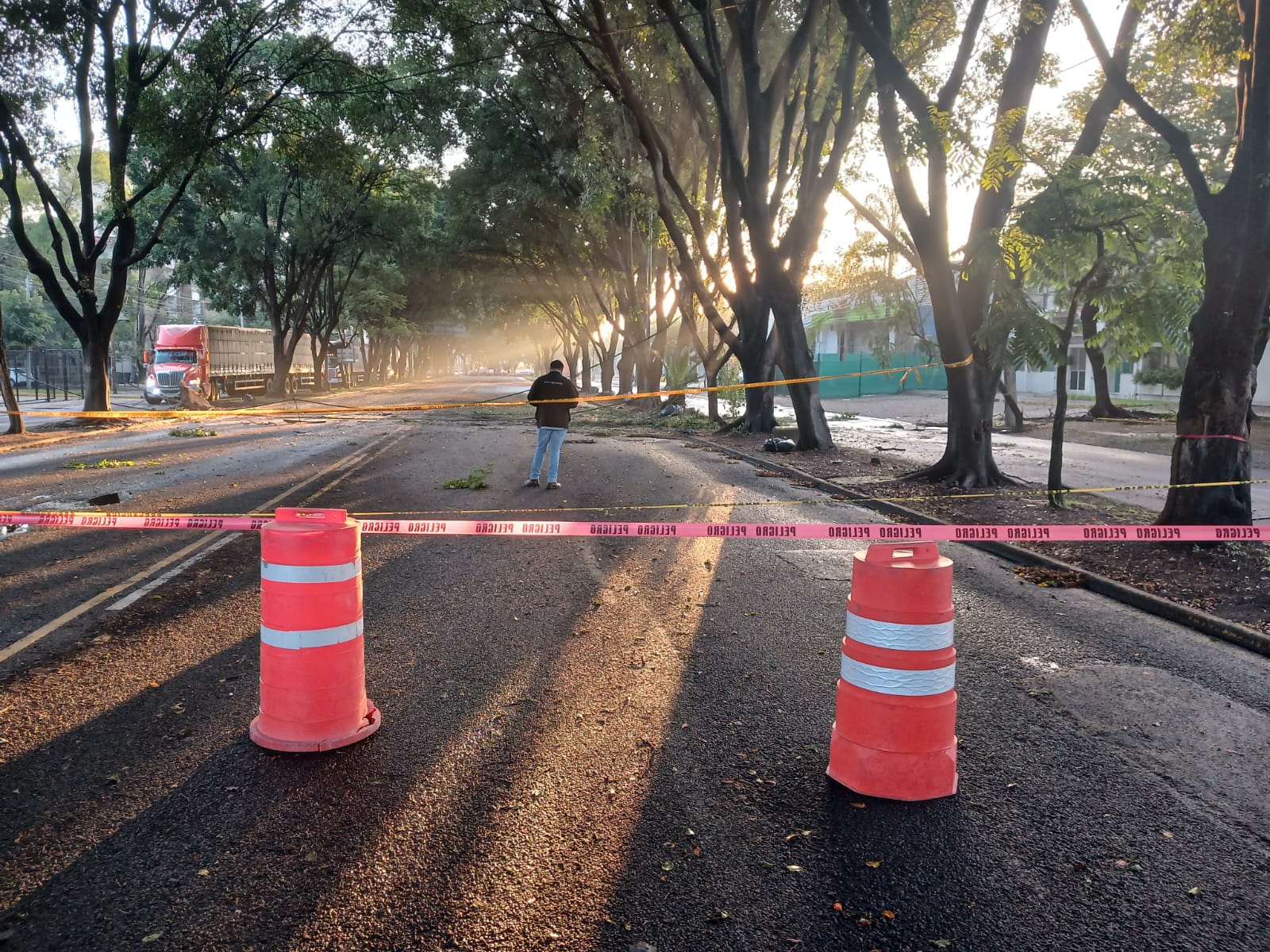 Cierre de Avenida Mariano Otero en Guadalajara por caída de árbol - ZMG Noticias