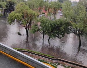Tormenta y granizo dejan afectaciones en la Zona Metropolitana de Guadalajara - ZMG Noticias