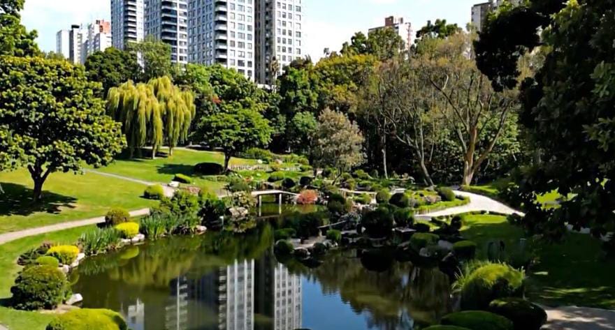 Bosque Los Colomos en riesgo por inmobiliaria - ZMG Noticias Bosque Los Colomos en riesgo por inmobiliaria - ZMG Noticias