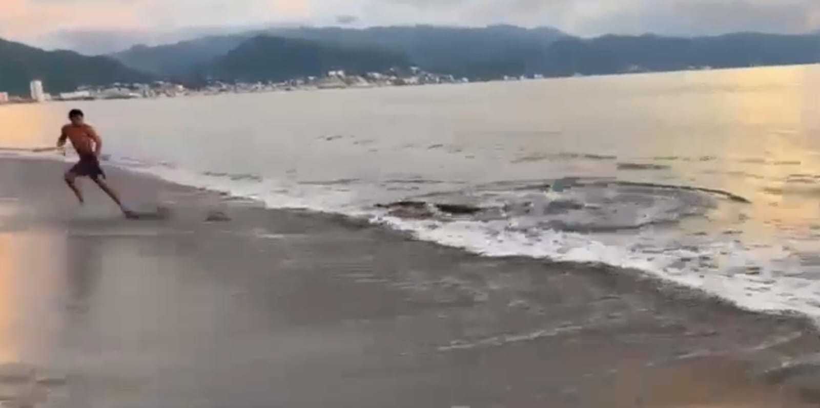Bañista escapa de ataque de cocodrilo en playa de Puerto Vallarta - ZMG Noticias Bañista escapa de ataque de cocodrilo en playa de Puerto Vallarta - ZMG Noticias