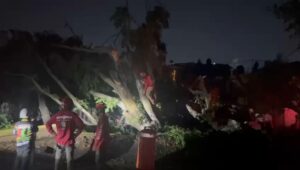 Inundaciones, árboles caídos y socavón entre las afectaciones por lluvias del domingo - ZMG Noticias