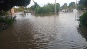 Se desborda el Río Lerma en La Barca - ZMG Noticias