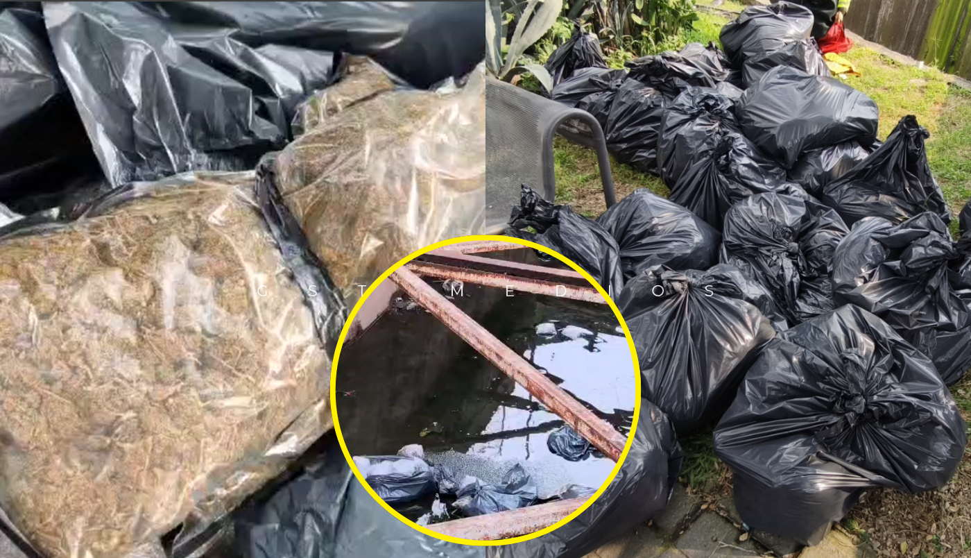 Aseguran 400 kilos de marihuana en canal de la colonia 5 de Mayo