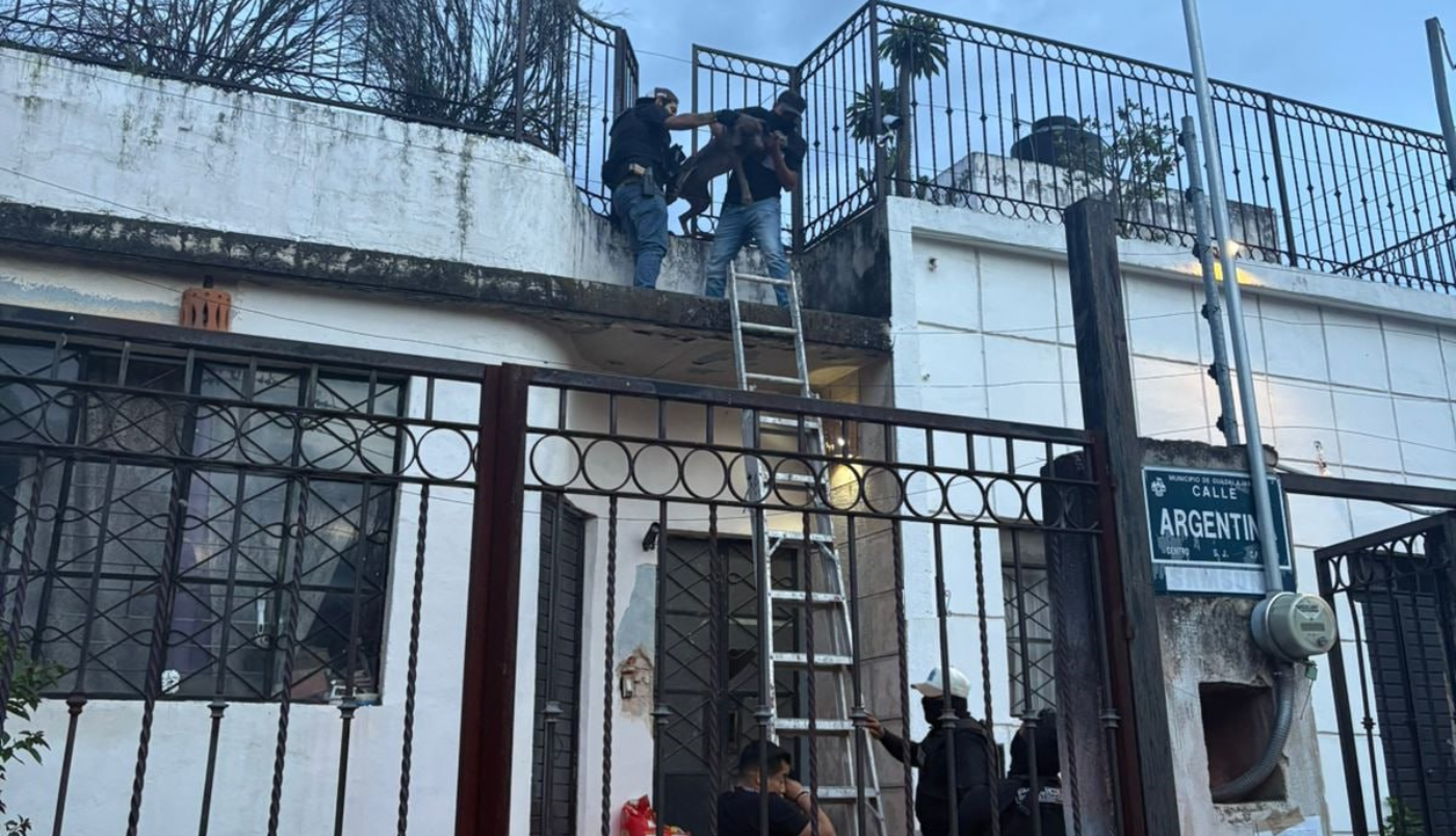 Investigan caso de crueldad animal en la colonia Moderna