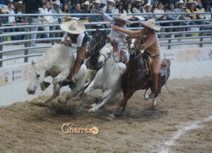 Charrería, una versión de fácil digestión - ZMG Noticias