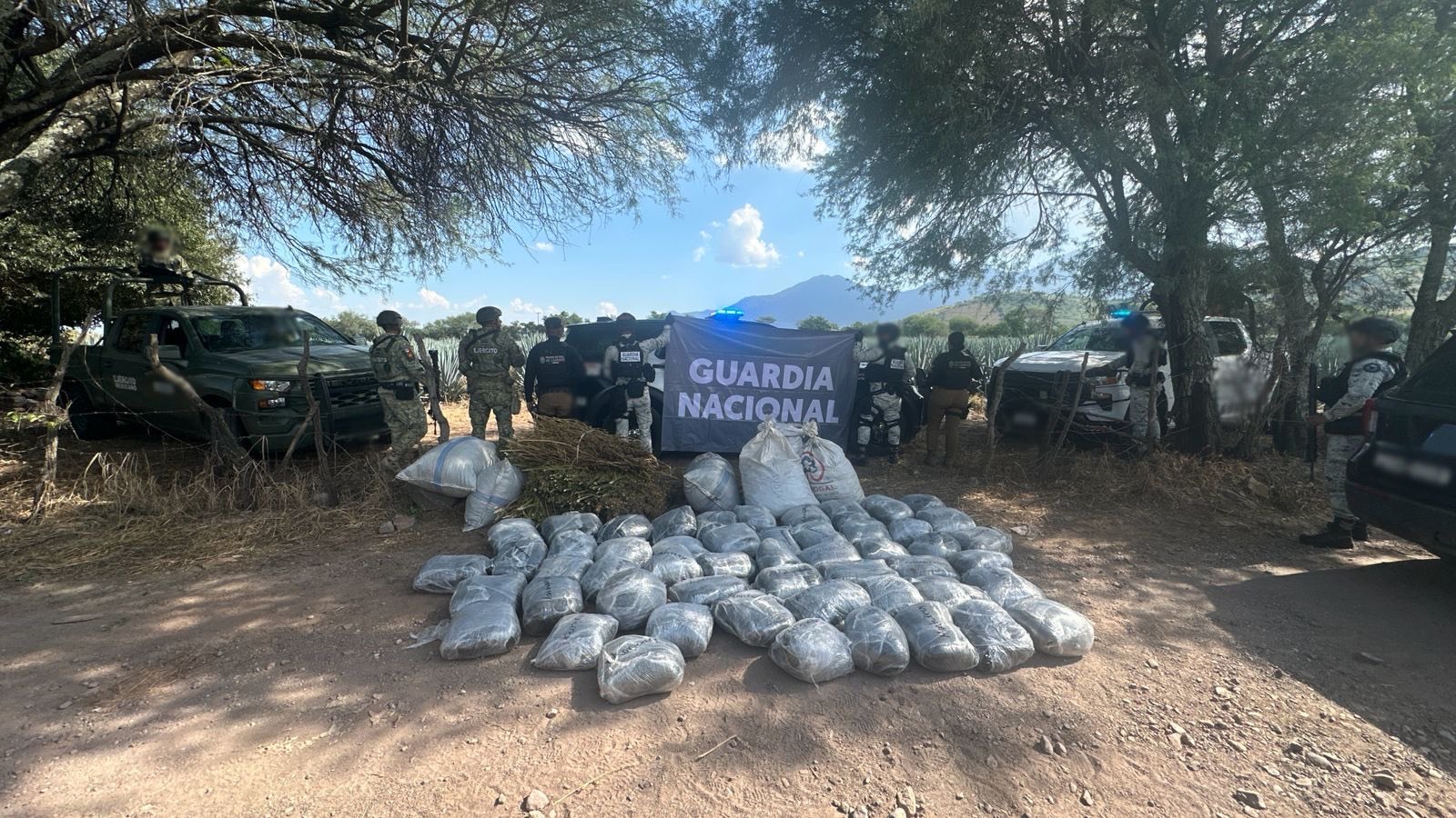 Aseguran más de 50 Paquetes de Marihuana en San Marcos - ZMG Noticias Aseguran más de 50 Paquetes de Marihuana en San Marcos - ZMG Noticias
