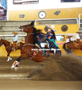 Charrería, una versión de fácil digestión - ZMG Noticias