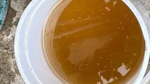 SIAPA ignora reportes persistentes de mala calidad del agua - ZMG Noticias