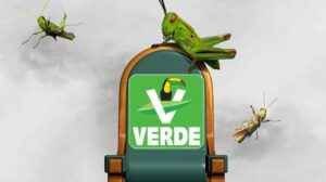 El chapulineo eterno del verde - ZMG Noticias