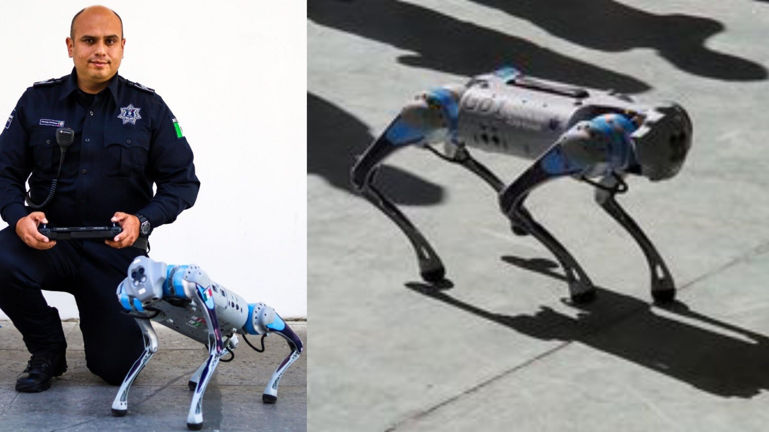 Ciberperros de Zapopan usados más como espectáculo que en labores de seguridad - ZMG Noticias