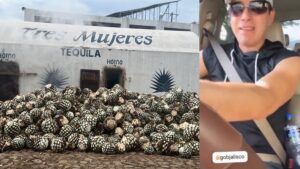 Polémica en el mundo tequilero - ZMG Noticias