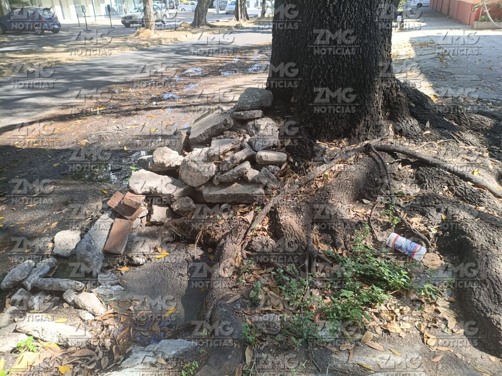 Fuga de Aguas Negras a dos cuadras de la Minerva