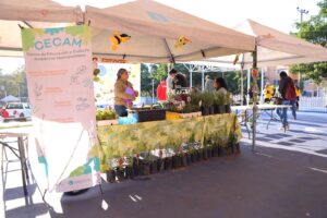 Realizan Feria Ambiental 2026 en Zapopan