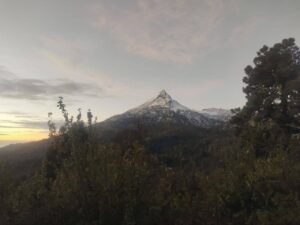 Protección civil Jalisco mantiene Operativo Montaña Blanca