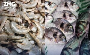 Este miércoles arranca el Operativo de Cuaresma 2026