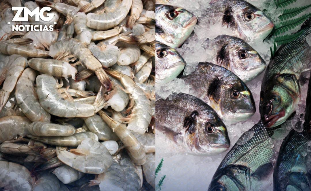 Este miércoles arranca el Operativo de Cuaresma 2026