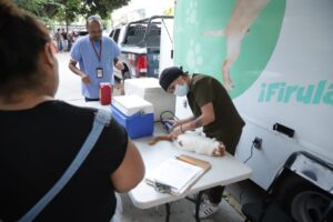 Cuidan a mascotas tapatías