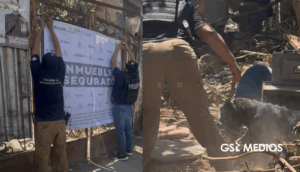 Rescatan dos perritas por maltrato animal en Guadalajara