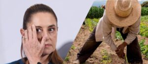 Continúan conflictos agrarios en gran parte del país