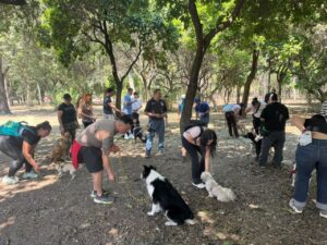 Bienestar Animal brinda capacitación en cuidado de mascotas