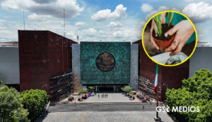 Diputados gastan 21 millones en jardineras públicas